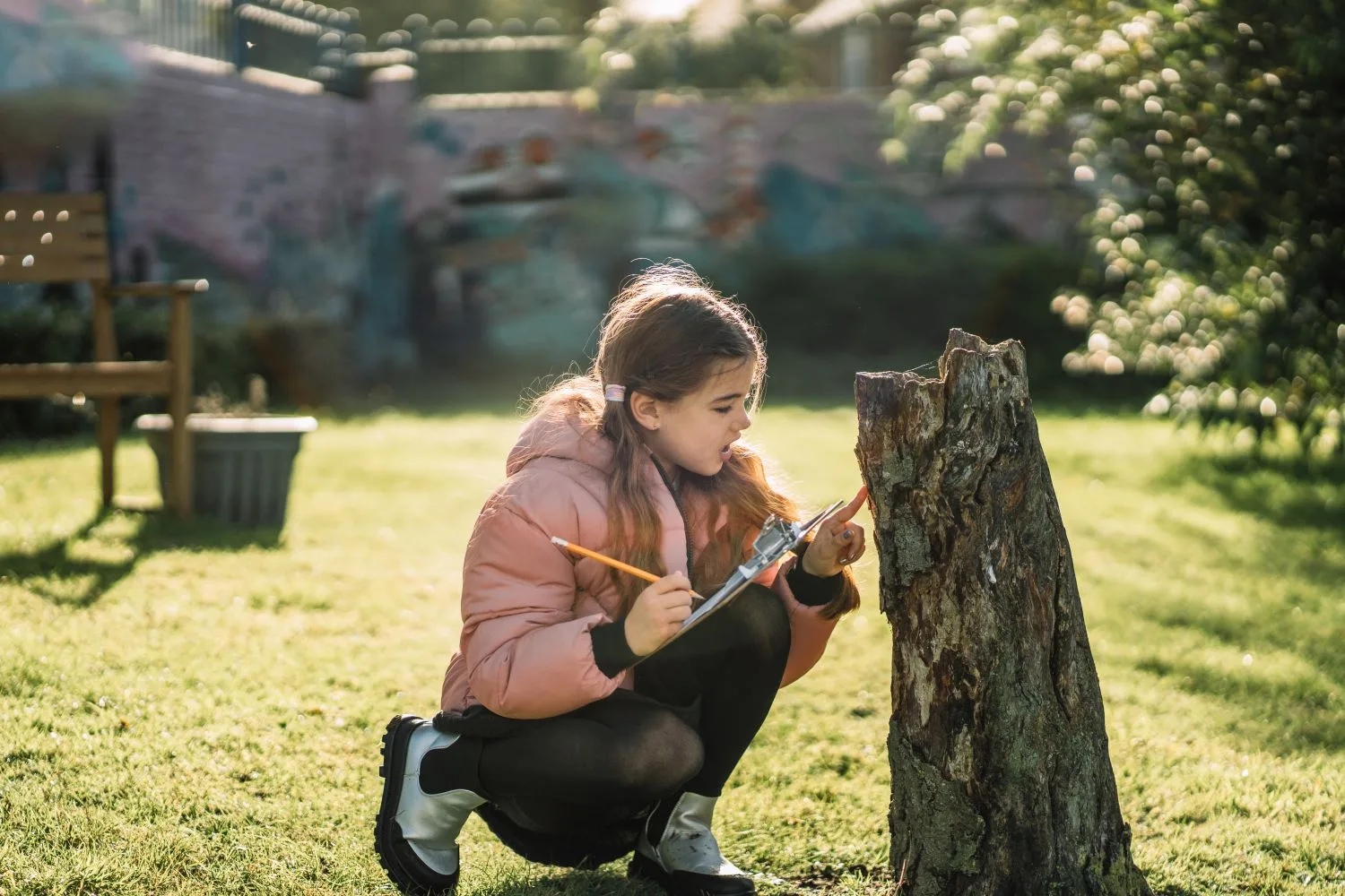 How to Measure a Tree