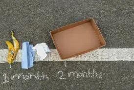 Decomposition Rates Game