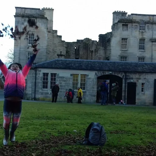 Autumn Leaves Display