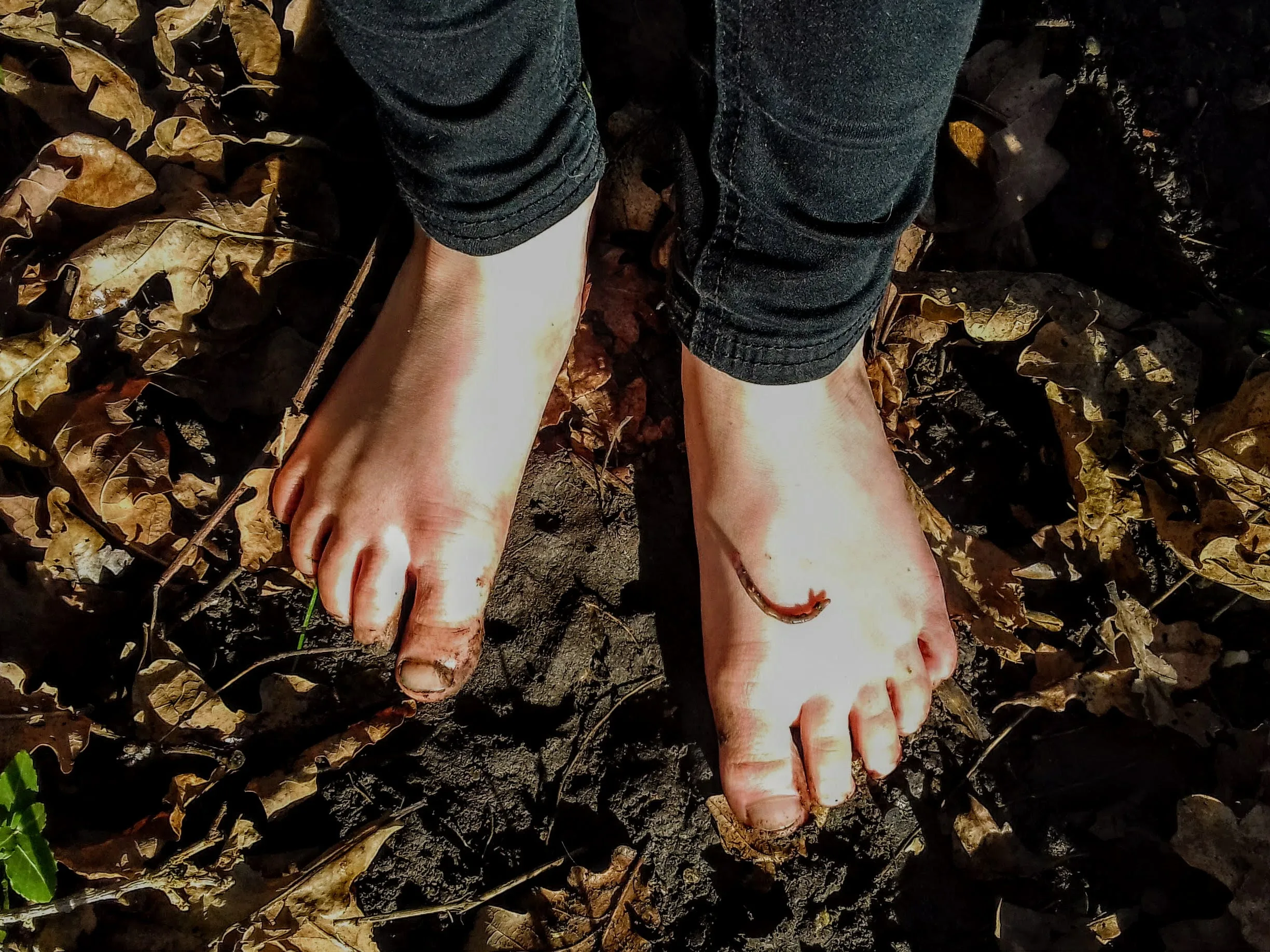 Barefoot Safari