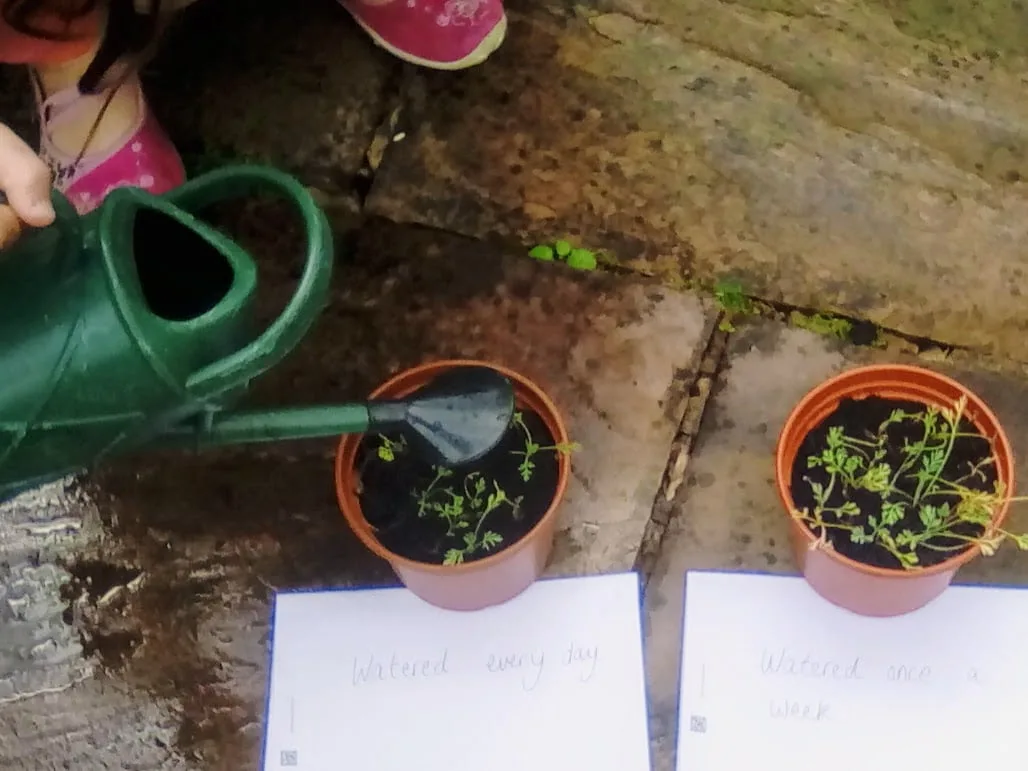 Planting Investigations