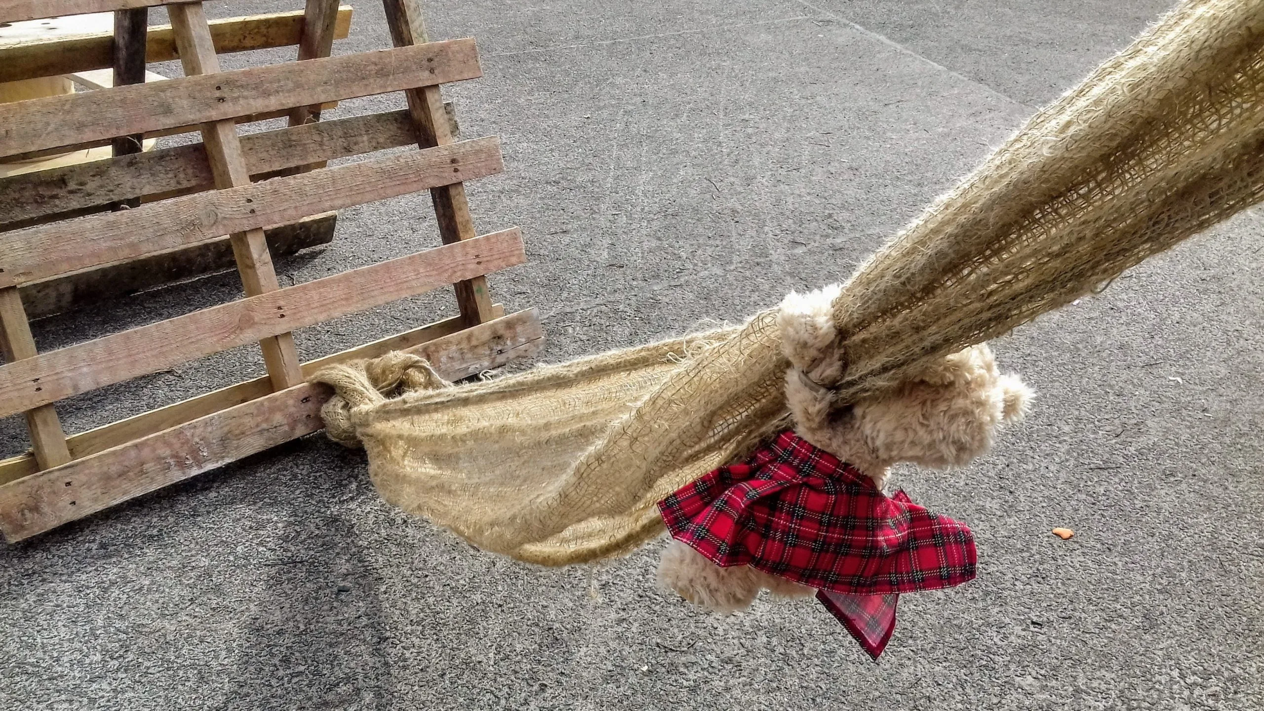 Teddy Assault Course