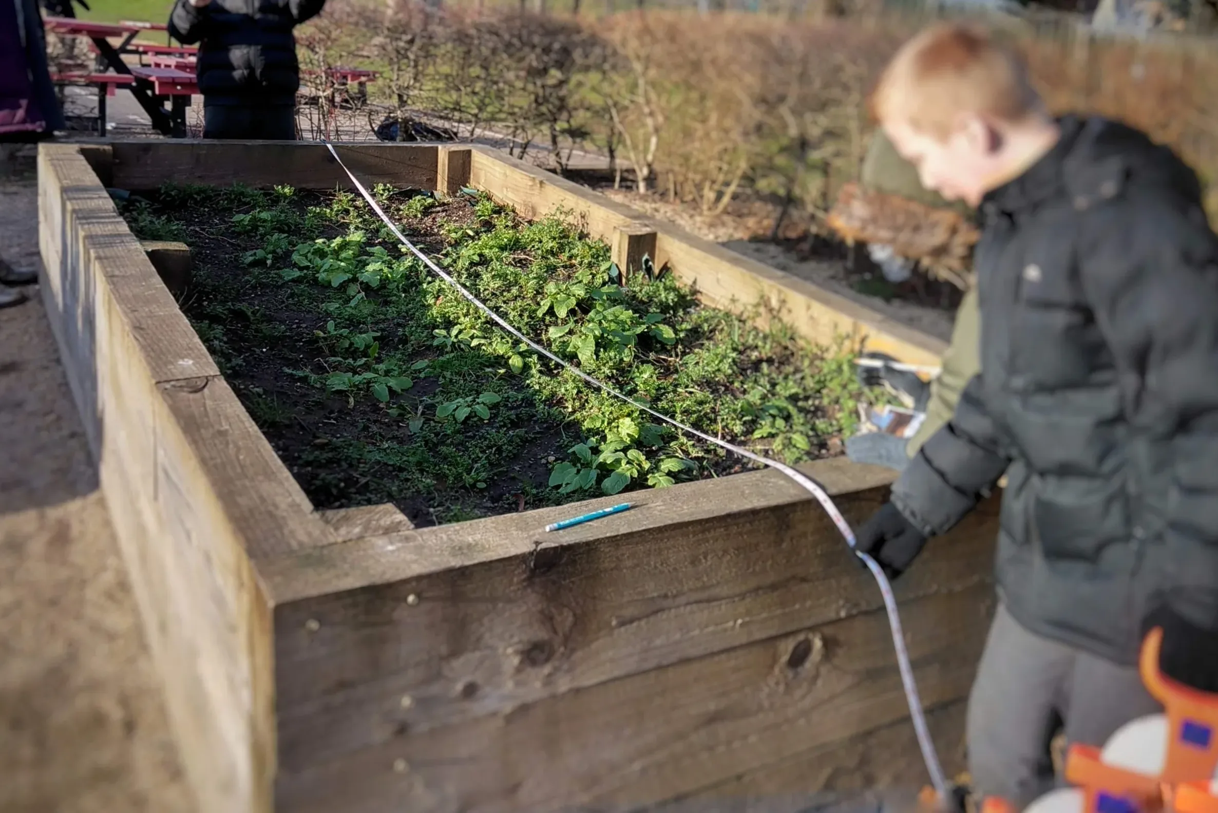 Pricing a Planter Makeover