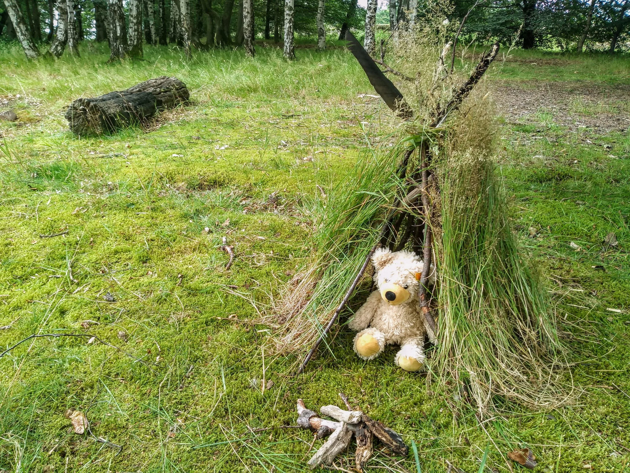 Tipi for Teddy