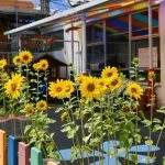 Remembering our trustee, John Troake