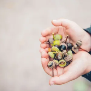 Sensory Scavenger Hunts