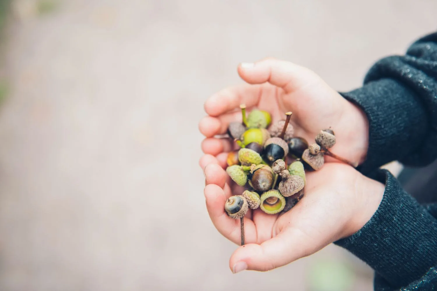 Sensory Scavenger Hunts