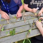 Ten years of giving our Local School Nature Grants