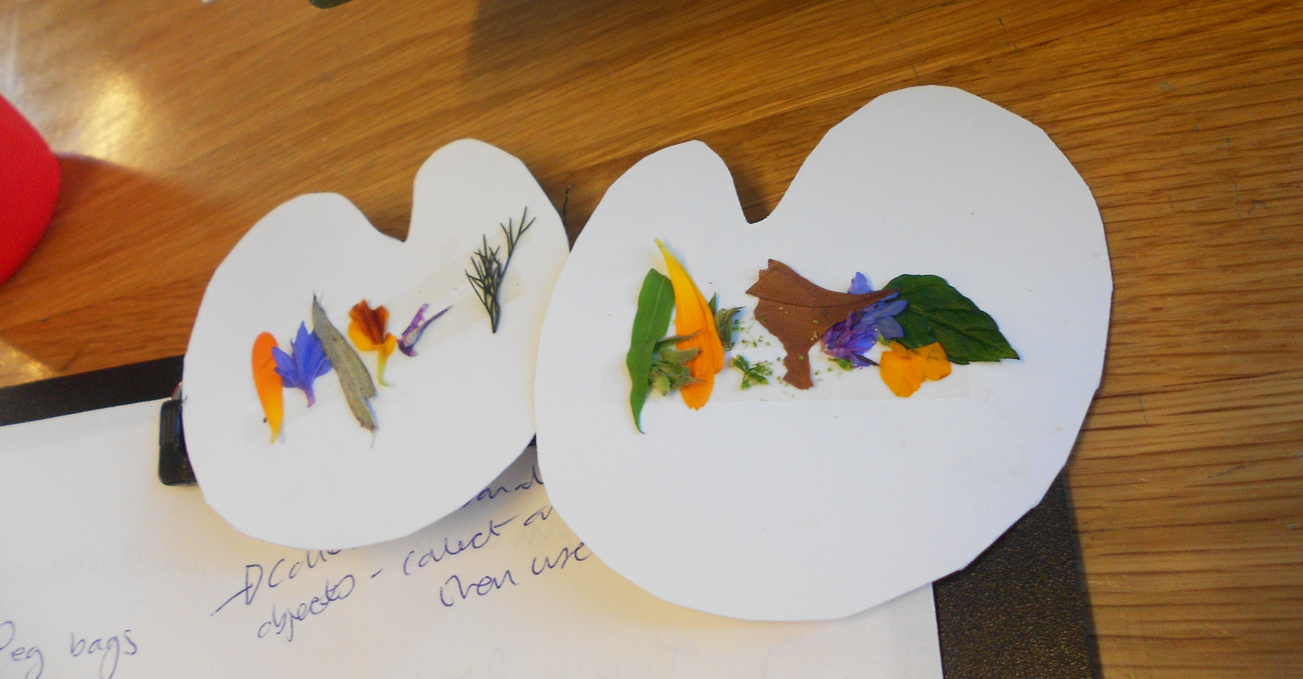 canon-peter-hall-primary-julie-payne-5