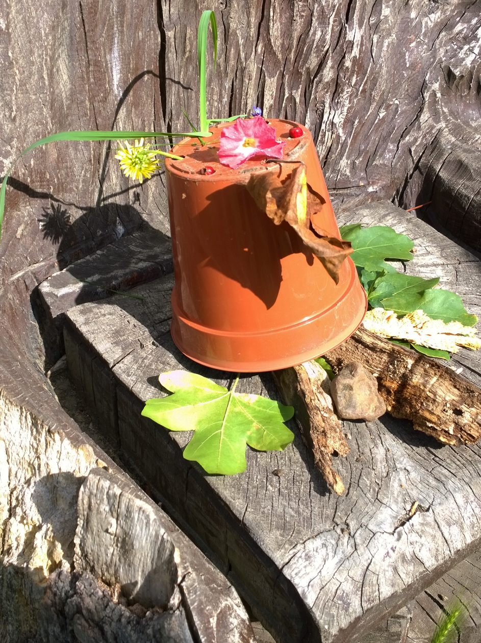 mayespark-16 mayespark-16