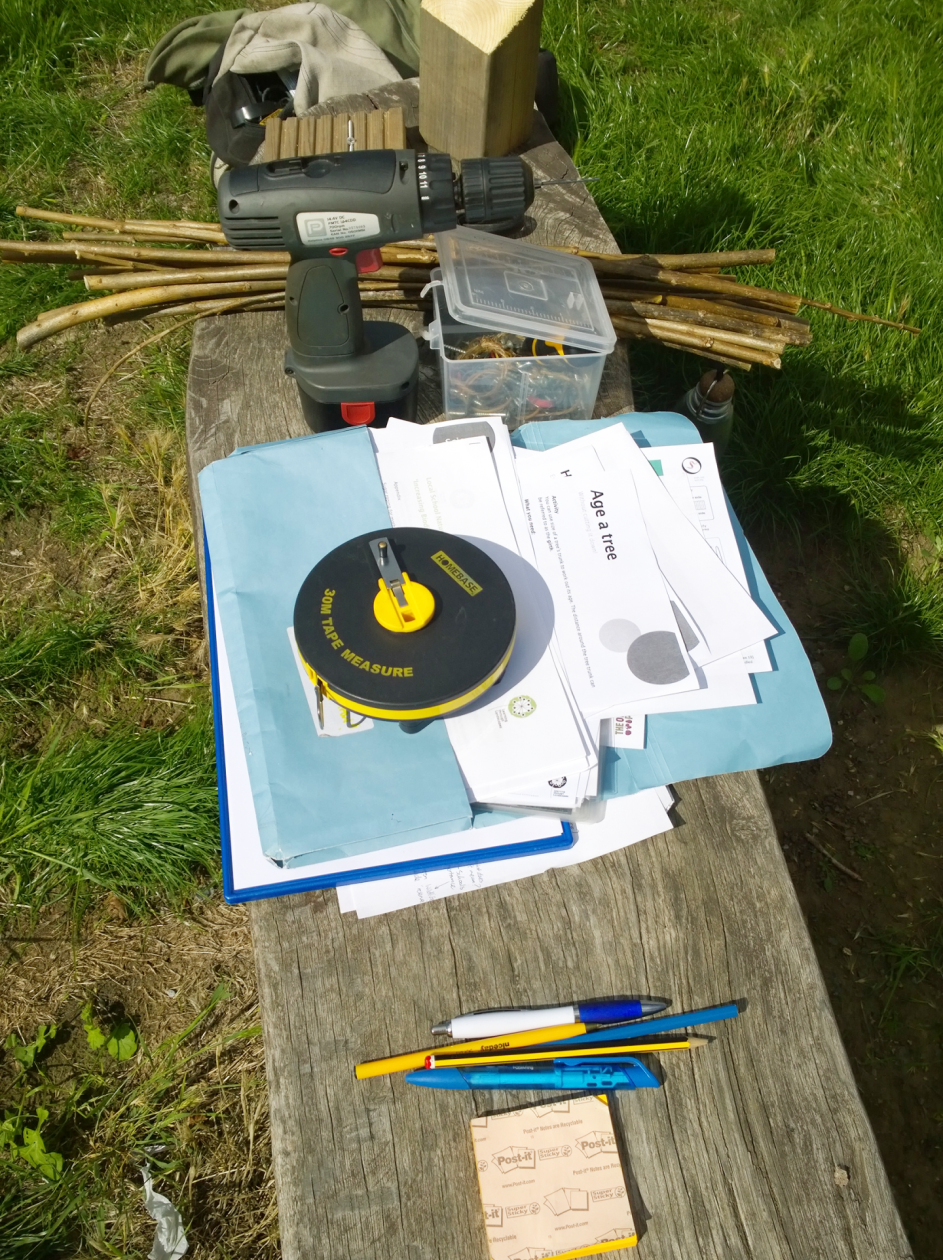 mayespark-17 mayespark-17