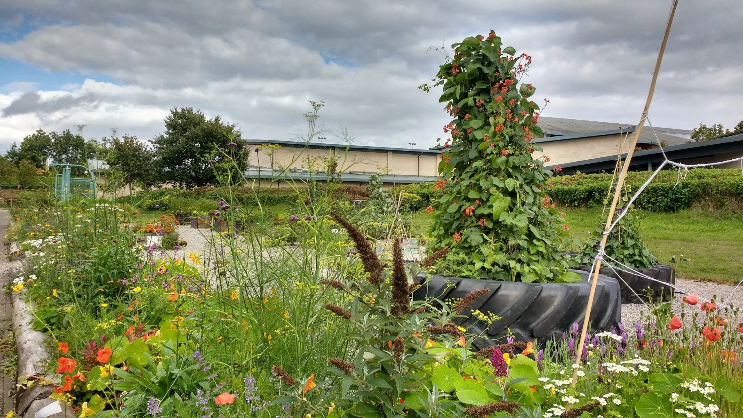 Join the School Grounds Collective launch in London