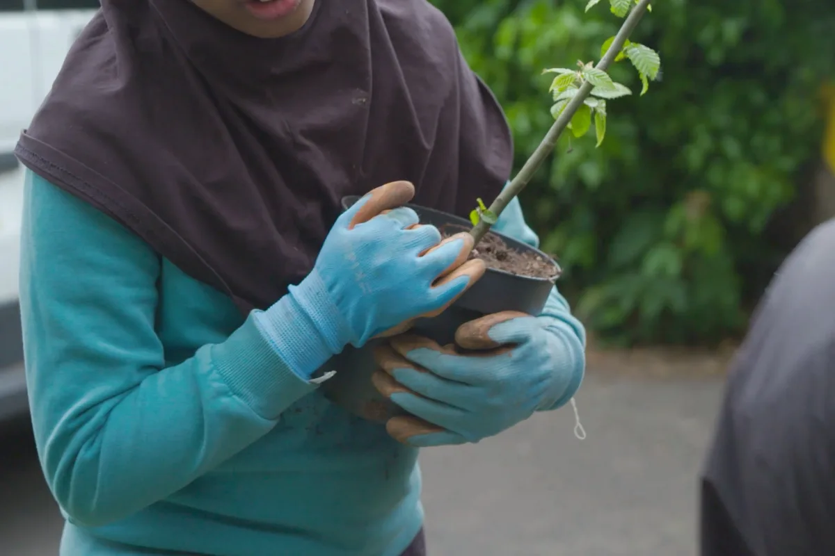 How pupils at a Birmingham school are fighting air pollution in the playground 