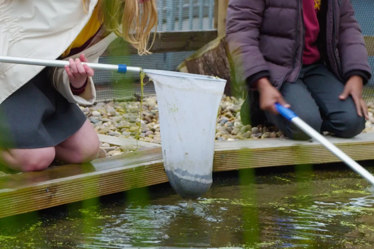 Turning a flooded playground in Walsall into a much-loved school pond